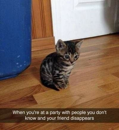 This meme features a small, wide-eyed tabby kitten sitting hunched alone on a wooden floor near a door and blue bin, looking anxious and uncertain. The caption at the bottom reads: *"When you're at a party with people you don't know and your friend disappears"*. The humor stems from the relatable, awkward social anxiety many people experience—feeling out of place, vulnerable, and lost when separated from a trusted friend in an unfamiliar social setting, perfectly embodied by the kitten's scared, lonely expression.