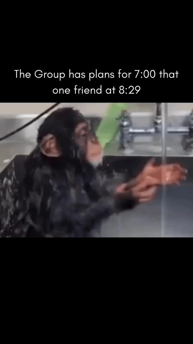 A meme featuring a video clip of a real chimpanzee with dark fur, appearing to press its hands against a transparent surface (possibly glass or plastic) with a confused or startled expression. The background shows a blurred indoor setting, likely a zoo or animal facility. Overlaid white text at the top reads: 'The Group has plans for 7:00 that one friend at 8:29', humorously depicting the scenario of a chronically late friend arriving significantly after the scheduled group plans.
