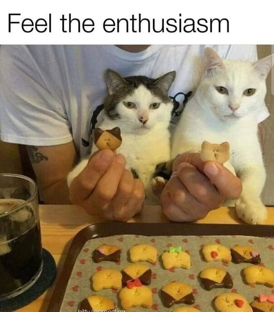 This humorous meme features two real cats sitting behind a person's hands, which hold small cat-shaped cookies aligned with the cats' faces to create the illusion the cats are holding them. The top text reads "Feel the enthusiasm", which is ironic given both cats display bored, unenthusiastic expressions—creating a funny contrast between the excited caption and their apathetic demeanor. Below the cats, a baking tray holds more decorated cat-shaped cookies, some with chocolate "coats" and candy accents. The visual joke relies on forced perspective, the mismatch between the caption and the cats' moods, and the cute parallel between the cats and the cookie shapes.