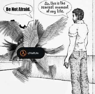 A black-and-white digital drawing depicting a man facing a large, winged bird-like creature resembling the G-Man from the Half-Life franchise. The creature has a stern expression with spread wings and speaks first with the text 'Be Not Afraid.' in a speech bubble. The man responds, 'So, this is the seagull moment of my life,' playing on the phrase 'defining moment' with a pun on 'seagull.' A watermark '/r/HalfLife' is centered at the bottom, indicating the Reddit community source.