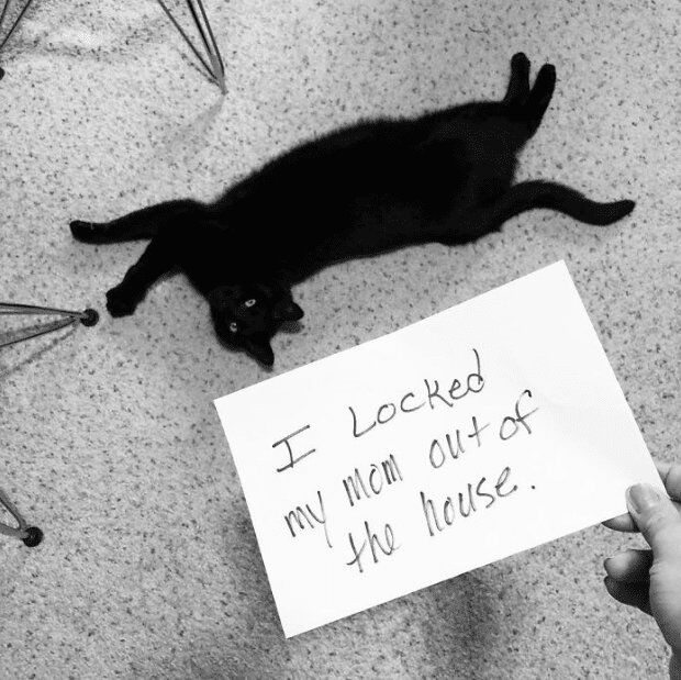 This is a black-and-white indoor photograph showing a black cat stretched fully out on its stomach across a speckled carpeted floor, looking up at the camera with wide open eyes that appear either innocent or unremorseful. A human hand is visible at the bottom right of the frame holding up a plain white sheet of paper with handwritten text on it, which reads 'I Locked my mom out of the house.' The legs of metal folding chairs are partially visible along the left edge of the frame. The image is formatted as a classic humorous pet shaming meme, where the pet is presented next to a description of its silly misbehavior.