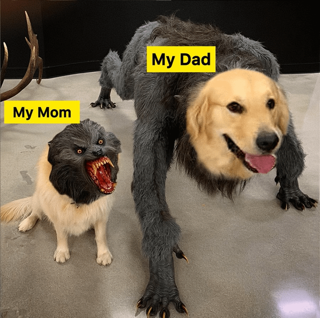 This edited meme uses face-swapping and image compositing to create a humorous take on parental stereotypes from a pet's perspective. On the left, a small, light-colored dog's body is paired with an aggressive, snarling werewolf head, labeled **My Mom** in a bright yellow text box. On the right, a large, furry werewolf costume body is combined with a happy, tongue-out golden retriever head, labeled **My Dad** in a matching yellow text box. The joke exaggerates common, playful stereotypes: framing the mother figure as intense and easily angered, while the father figure is laid-back, silly, and carefree. The background shows an indoor space, possibly a museum or exhibit, with a deer antler visible in the corner.