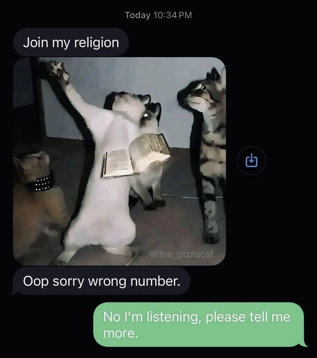 This is a text message chat screenshot meme. The first message reads 'Join my religion' and is accompanied by an image of a Siamese cat standing upright on its hind legs, one front paw raised towards the ceiling as if preaching, with an open book resting on its chest. Three other cats are gathered around it, appearing to listen to the 'preaching'. The sender then sends a follow-up message: 'Oop sorry wrong number.' The recipient responds positively with 'No I'm listening, please tell me more.' The humor comes from the absurdity of receiving a random, unprompted religious recruitment from a wrong number, paired with the ridiculous cat preacher visual, and the recipient's unexpected willingness to engage with the silly offer.