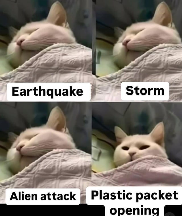 This 4-panel comedic meme features a light-colored fluffy cat tucked under a quilt, asleep in the first three panels. Each of these first three panels is labeled with progressively more catastrophic, high-stakes events: 'Earthquake', 'Storm', and 'Alien attack', with the cat remaining completely undisturbed and asleep through all of them. In the fourth panel, the cat is suddenly fully wide awake and alert, with the label 'Plastic packet opening'. The joke hinges on the relatable common behavior of domestic cats, who appear unbothered by major dangerous events but immediately rouse at the sound of a plastic snack packet being opened, as they associate the sound with being given food.