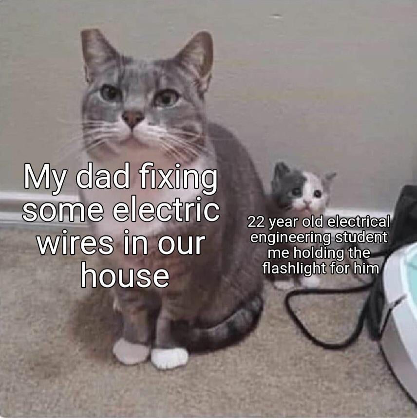 This meme uses a photo of two cats to deliver a relatable humorous joke. The larger, full-grown grey tabby cat in the foreground is labeled as a dad fixing electric wires at home, while the tiny grey and white kitten peeking out from behind it is labeled as a 22-year-old electrical engineering student who is only helping their dad by holding a flashlight, despite having specialized advanced education in the field of electrical work. The joke plays on the common relatable experience of having professional or academic skills that feel irrelevant when performing simple home tasks alongside a parent.