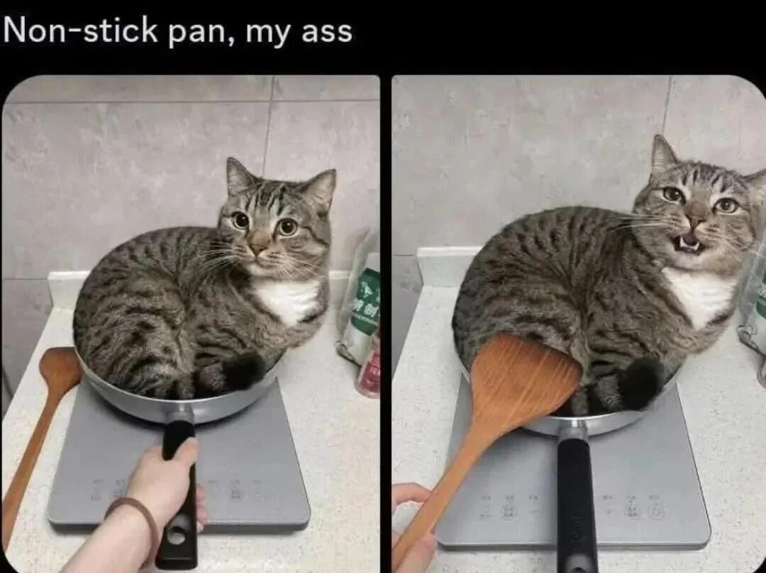 This is a two-panel funny pet meme. In the left panel, a tabby domestic cat with a white chest curls up comfortably sitting inside a metal frying pan on an induction cooktop, staring calmly at the camera. In the right panel, a person holding a wooden spatula tries to push the cat out of the pan, but the cat refuses to move, opening its mouth in an annoyed defensive expression while remaining stuck in the pan. The top text jokes about the false marketing claim of a non-stick pan: the pan is advertised to not let things stick to it, but the cat clearly sticks, which is the punchline of the joke.