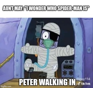 A humorous meme depicting Aunt May, a character from the Spider-Man franchise, with the text 'AUNT MAY: "I WONDER WHO SPIDER-MAN IS"' at the top. Below, Peter Parker—Spider-Man's alter ego—walks into the scene dressed in a mummy costume, complete with white bandages and a green mask, accompanied by the text 'PETER WALKING IN'. The meme leverages irony: Aunt May unknowingly questions Spider-Man's identity while the superhero himself, disguised as a mummy, enters, creating a comedic contrast between her curiosity and his hidden presence.