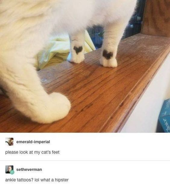 This meme is a screenshot of a Tumblr conversation paired with a photo of a real fluffy white cat. The photo shows the cat's front legs standing on a wooden shelf, where the cat naturally has two symmetrical black heart-shaped markings on its lower front legs, right above its paws. Tumblr user emerald-imperial originally posted the photo asking others to look at their cat's feet, and another user setheverman replied with a joke that the heart markings are ankle tattoos, calling the cat a hipster for having trendy small tattoos. The joke plays on the resemblance of the natural fur markings to trendy ankle tattoos popular in hipster subculture.