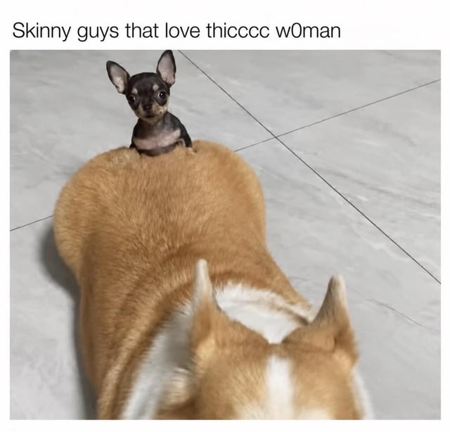 This is a single-panel animal meme that uses size contrast between two dogs for comedic effect. A very small, slim Chihuahua is perched on the back of a much larger, stocky, fluffy tan dog lying on a light grey tiled floor. The text overlay at the top reads "Skinny guys that love thicccc w0man", using the extreme size difference between the two dogs as a visual metaphor for the dynamic of slender men who prefer curvier, plus-size women. The humor is lighthearted and relatable, playing on common dating preference jokes shared online.