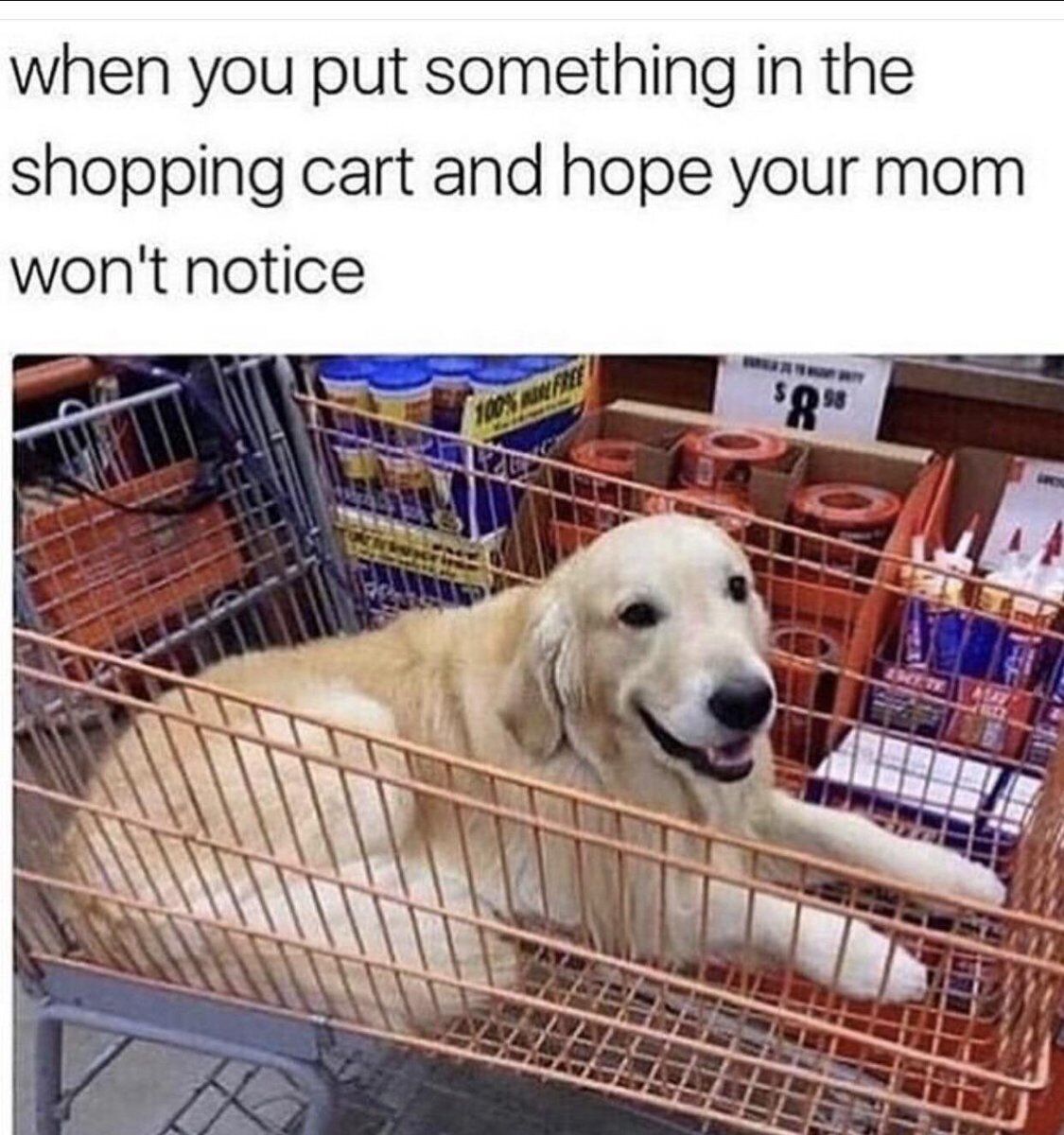 A meme featuring a golden retriever dog lying comfortably in a shopping cart surrounded by various products. The top text reads: 'when you put something in the shopping cart and hope your mom won't notice'. The image humorously captures the relatable childhood experience of trying to sneak items into the shopping cart without parental detection, personified through the dog's innocent yet mischievous expression.