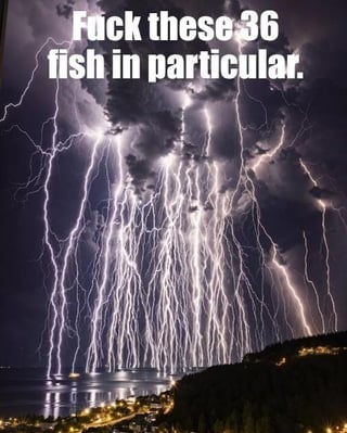The image features a dramatic night scene with multiple intense lightning bolts striking over a body of water, reflecting on the surface. In the foreground, there are faint lights from buildings or houses along the shoreline. Prominently displayed at the top of the image is bold, white text that reads: 'Fuck these 36 fish in particular.' The contrast between the visually striking natural phenomenon (lightning) and the angry, specific rant about fish creates a humorous or bewildering effect, as the connection between the lightning and the fish is not explicitly clear.
