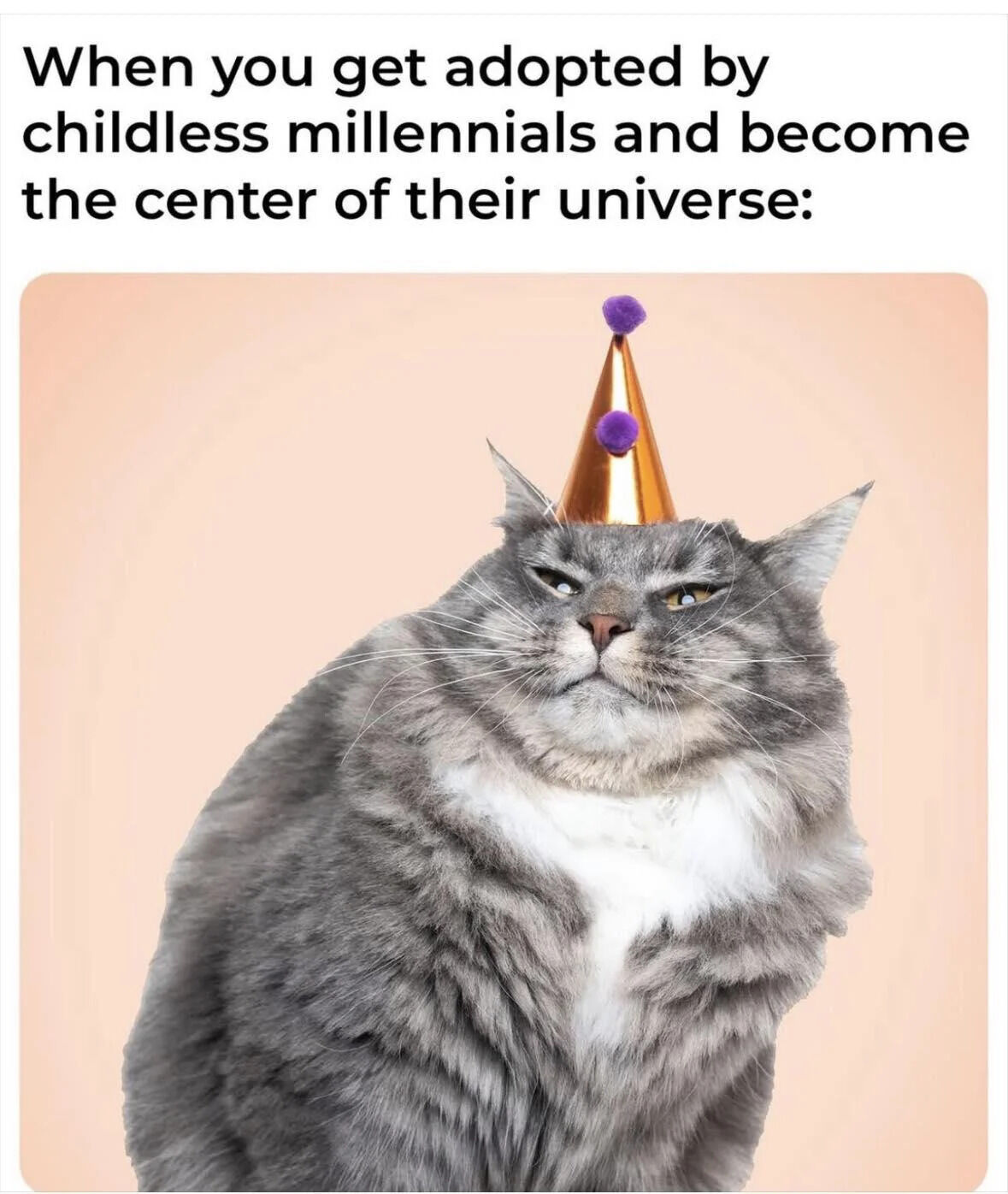 The meme consists of a top text caption stating 'When you get adopted by childless millennials and become the center of their universe:' followed by an image of a gray and white long-haired cat. The cat is positioned against a plain peach background, wearing a small gold party hat adorned with two purple pom-poms. It has a distinctively indifferent or unamused expression, with half-lidded eyes and a neutral mouth, creating a humorous contrast between the celebratory hat and its demeanor. The combination of the text and image playfully exaggerates the dynamic where childless millennials often dote on their adopted pets, treating them as the focal point of their lives, resulting in a wholesome and lighthearted tone.