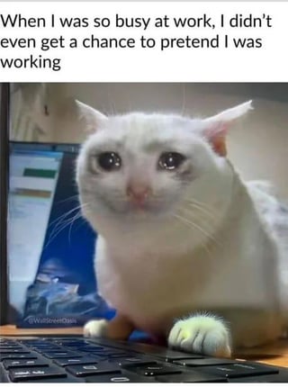 A meme featuring a white cat with a tired, resigned expression sitting in front of a keyboard, with a laptop visible in the background. Above the cat is a humorous caption: 'When I was so busy at work, I didn't even get a chance to pretend I was working.' The image humorously highlights the irony of being so busy with tasks that there's no time for the common workplace habit of pretending to work, making it relatable to those in office or remote work settings.