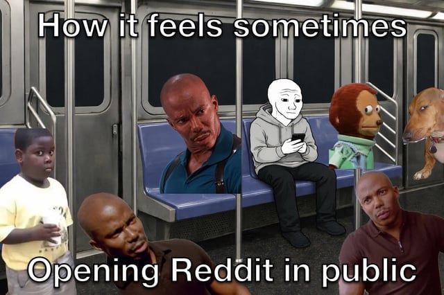A meme collage set inside a subway train carriage, featuring a mix of real people (including a boy, two men), a cartoon character, a puppet-like figure, and a dog. The top text reads 'How it feels sometimes' and the bottom text states 'Opening Reddit in Public,' humorously depicting the relatable experience of encountering Reddit's eclectic mix of normal and absurd content while browsing in public. Characters display varied expressions (curious, intense, neutral, surprised) reflecting the unpredictable nature of Reddit posts.