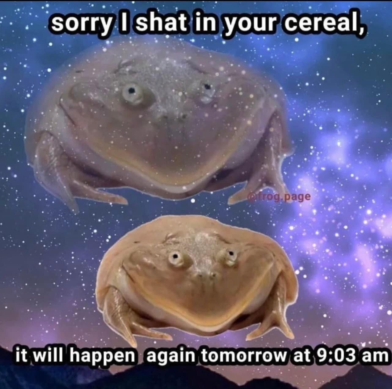 This meme features two cuts of the iconic wide-faced Budgett's frog (also known as the hippo frog) superimposed over a dreamy purple starry night sky with mountain silhouettes at the bottom. The top frog is paired with the text 'sorry I shat in your cereal,' while the lower frog is paired with the text 'it will happen again tomorrow at 9:03 am.' The humor is absurdist: the frog gives a half-hearted, unremorseful apology for a gross minor offense, then immediately and specifically schedules the same transgression to happen again, paired with the frog's blank, smug-looking expression that matches the unhinged tone of the text.