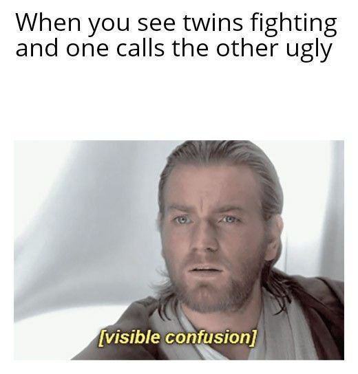 This is a reaction meme using the popular Obi-Wan Kenobi 'visible confusion' template from Star Wars. The top text sets up a relatable funny scenario: when you are observing two identical twins fighting, and one of them insults the other by calling them ugly. The image below shows Obi-Wan looking completely bewildered, with the text '[visible confusion]' overlaid at the bottom. The humor comes from the irony that identical twins share nearly identical genetic appearance, so the twin making the insult is essentially also insulting their own looks, leading to the observer's confused reaction to the absurd insult.
