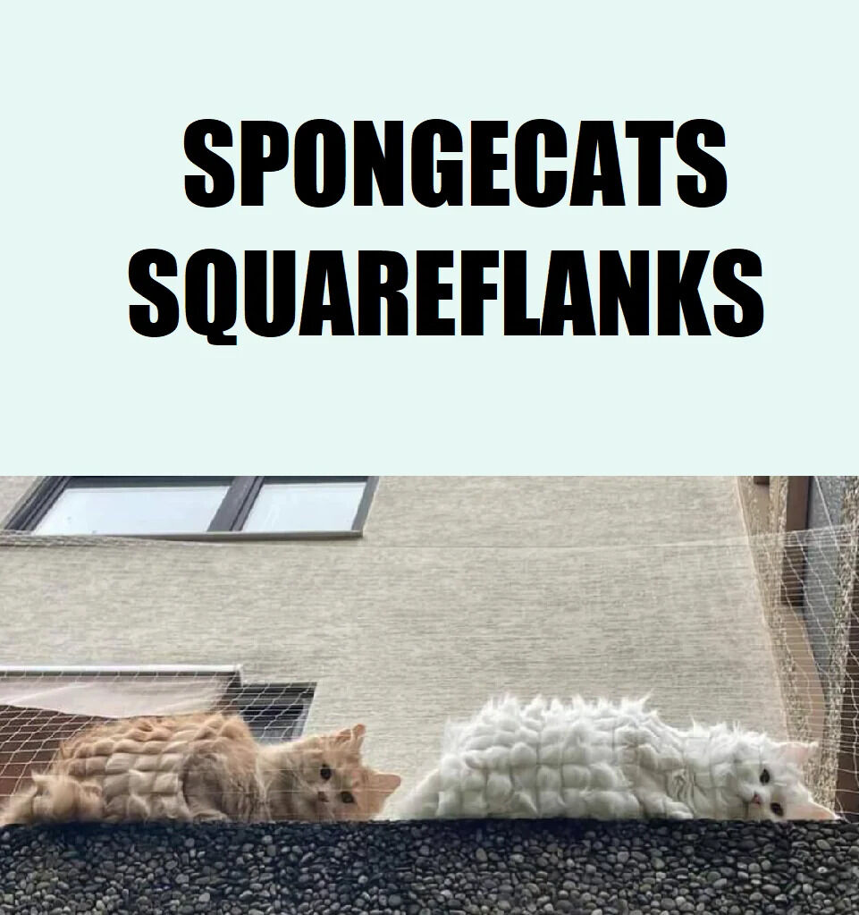 The image features two cats lying on a building ledge with a netting background. Both cats have been edited to have a square, grid-like, sponge texture resembling SpongeBob SquarePants' porous appearance—one cat is orange with the sponge texture, and the other is white with the same texture. Above the cats, bold black text reads 'SPONGECATS SQUAREFLANKS,' a playful pun on the animated series 'SpongeBob SquarePants.' The visual joke combines real cats with SpongeBob's iconic square, porous design, creating a whimsical and humorous meme.