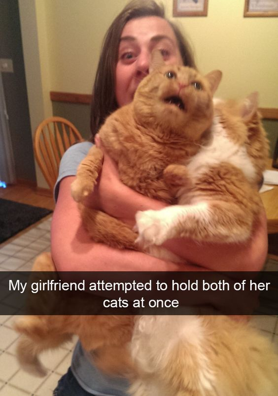 A photograph showing a woman with long brown hair wearing a light blue shirt, standing in a kitchen with tiled flooring and a wooden chair in the background. She is holding two cats: one is an orange tabby with its mouth open, appearing surprised, and the other is a white and orange cat. The woman's arms are wrapped around both cats, who are positioned closely together. Below the image, there is a caption that reads, 'My girlfriend attempted to hold both of her cats at once.' The scene conveys a lighthearted and wholesome moment of pet ownership.