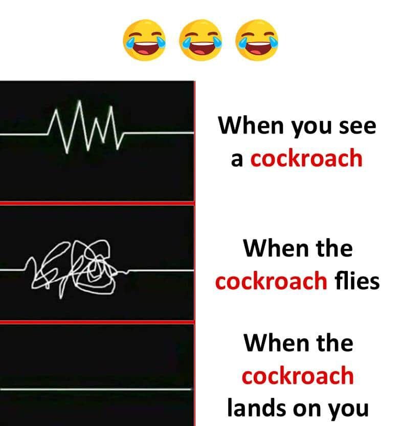 This is a 3-panel relatable humor meme. The left portion of each panel displays a line from a heart rate monitor, while the right portion has text describing a scenario involving a cockroach. The first panel shows a spiking but standard elevated heart rate next to the text 'When you see a cockroach'. The second panel shows a wildly scribbled, chaotic heart rate pattern next to the text 'When the cockroach flies'. The third panel shows a completely flat heart line, indicating cardiac arrest or death, next to the text 'When the cockroach lands on you'. Three laughing crying emojis are placed at the top of the image to emphasize the meme's lighthearted, relatable comedic tone.