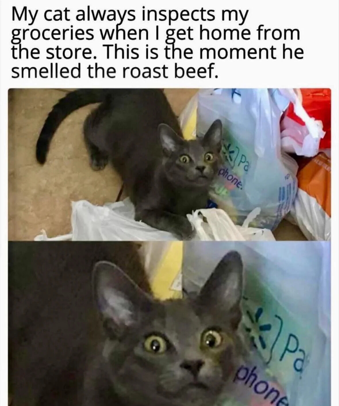 A two-panel meme featuring a black cat inspecting groceries. The top text describes the scenario: 'My cat always inspects my groceries when I get home from the store. This is the moment he smelled the roast beef.' The first panel shows the cat lying among various plastic grocery bags (including one with partial text 'Pa phone.') on a carpeted floor. The second panel is a close-up of the cat's face, displaying wide, dilated eyes and perked ears, capturing an exaggerated surprised reaction to the scent of roast beef. The humor arises from the cat's dramatic and relatable response to food, a common theme in pet content.