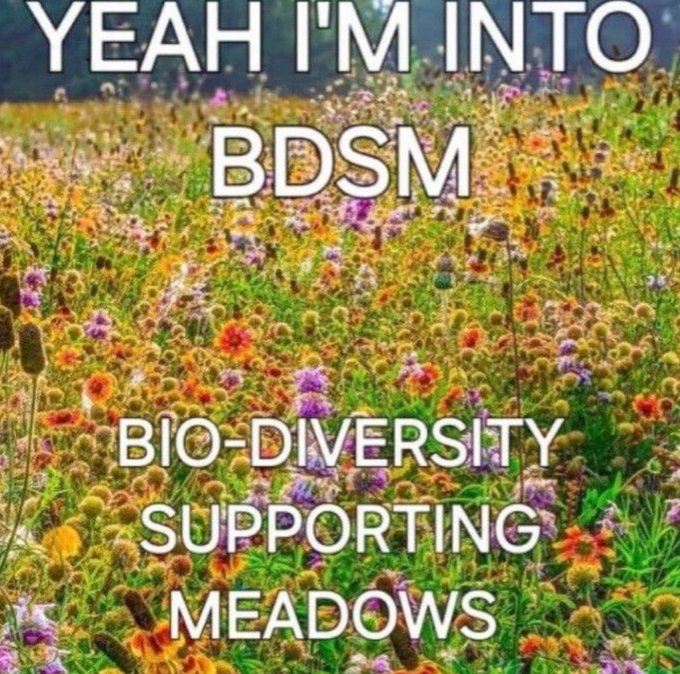 The meme features a photograph of a lush, colorful wildflower meadow filled with a variety of native flowers and grasses. Large white sans-serif text is overlaid across the image, starting with the line "YEAH I'M INTO BDSM", followed by lines expanding the acronym to "BIO-DIVERSITY SUPPORTING MEADOWS". The joke relies on subverting audience expectations: the acronym BDSM is widely associated with a specific set of sexual practices, but it is redefined here to refer to support for ecologically valuable wild meadow habitats, creating a wholesome, humorous environmentalist punchline.