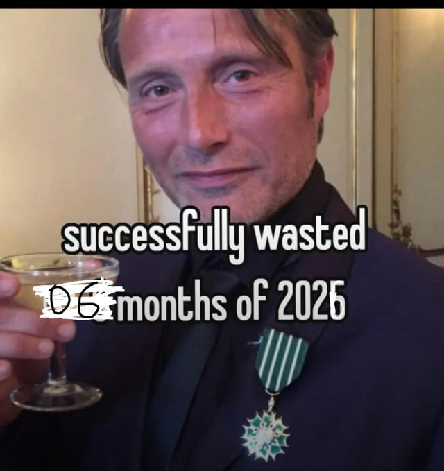 This is a sarcastic, relatable reaction meme featuring actor Mads Mikkelsen dressed in formal wear with a medal pinned to his suit, holding up a cocktail glass in a toasting gesture with a slightly smug, amused expression. Overlaid text reads 'successfully wasted 06 months of 2025', referencing the end of June 2025, the midpoint of the year. The joke centers on the sardonic celebration of having unproductively used the first half of the year, paired with the implicit context that 6 more months of the year remain to potentially waste as well.