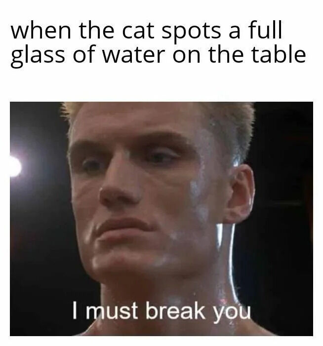A meme combining a humorous text setup with a classic movie screenshot. The top text reads 'when the cat spots a full glass of water on the table', setting up a relatable scenario of a cat eyeing a glass of water. Below this text is a screenshot from the movie 'Rocky IV' featuring the character Ivan Drago (played by Dolph Lundgren), a muscular man with a determined, sweaty expression, staring intently. Overlaid on the screenshot is the text 'I must break you', an iconic line from the character. The meme humorously implies that the cat has the same intense, resolute determination to knock over the glass of water as Ivan Drago has in his competitive context.