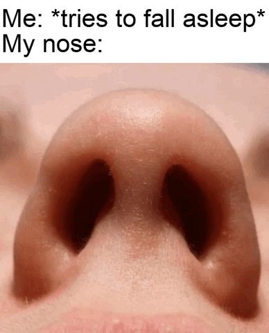This is a relatable humorous meme. The top section has text reading 'Me: *tries to fall asleep*' followed by 'My nose:'. Below the text is an extreme close-up shot of a person's nostrils, which appear wide open. The joke references the common, annoying experience where nasal congestion suddenly starts making it hard to breathe exactly when someone is trying to fall asleep.