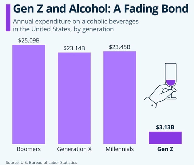 A bar chart titled 'Gen Z and Alcohol: A Fading Bond' comparing annual alcoholic beverage expenditure by generation in the United States. The chart displays four vertical purple bars labeled from left to right: Boomers ($25.09B), Generation X ($23.14B), Millennials ($23.45B), and Gen Z ($3.13B), with Gen Z's bar significantly shorter than the others. To the right of the bars is a simple illustration of a hand holding a wine glass with purple liquid. The source of the data is cited at the bottom as 'U.S. Bureau of Labor Statistics'.