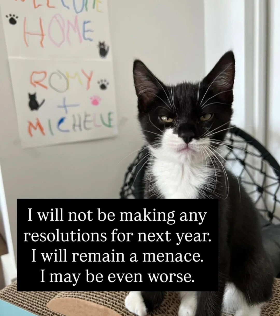 A black and white cat with a white chest and muzzle sits on a black wire chair. Behind the cat, a wall displays a childlike, hand-drawn sign with colorful text: 'WELCOME HOME' at the top (in orange, pink, blue, and green), followed by 'ROMY + MICHELLE' below (in red, orange, yellow, green, and blue), accompanied by small black cat silhouettes and black/pink paw prints. The cat has striking yellow eyes, perked ears, and a slightly serious, unamused expression, gazing directly at the camera. At the bottom of the image, a black rectangular text box with white font contains the caption: 'I will not be making any resolutions for next year. I will remain a menace. I may be even worse.' The scene is indoors with soft natural light from a window with white curtains, creating a cozy atmosphere.