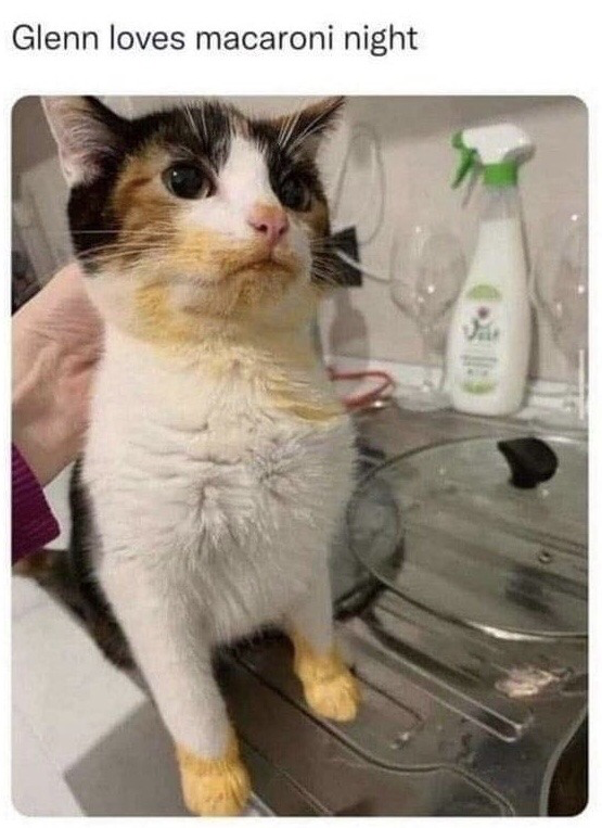 The image features a calico cat named Glenn being held upright by a person's hand, standing on a metal kitchen dish rack. The cat's front paws and the fur around its mouth are visibly stained bright yellow from cheese, indicating it ate macaroni and cheese without permission. The text above the photo reads 'Glenn loves macaroni night', humorously commenting on the cat's obvious evidence of stealing food. The background includes a spray bottle of cleaning solution, glassware, and other kitchen dish items. The joke comes from the cat's unbothered, slightly dazed expression paired with the clear proof of its misbehavior.