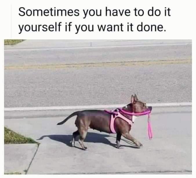 This wholesome meme features a photograph of a real brown dog wearing a pink harness, holding its own pink leash in its mouth while walking independently on a concrete sidewalk. Above the image, the text reads "Sometimes you have to do it yourself if you want it done." The humor comes from the visualization of the common self-help saying, showing the dog taking the initiative to walk itself instead of waiting for a human owner, creating a funny, relatable joke about doing things yourself when no one else will.