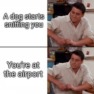 A two-panel meme utilizing a screenshot from the TV show 'Friends,' featuring the character Joey Tribbiani. The top panel displays the text 'A dog starts sniffing you' with Joey looking amused, while the bottom panel shows 'You're at the airport' with Joey appearing concerned. The humor arises from the contrast between a casual dog interaction and the context of an airport, where a dog sniffing might imply security concerns over contraband.