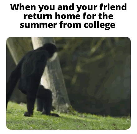 The meme consists of bold black text at the top followed by a rounded-corner photograph of two dark-furred chimpanzees walking hunched over in a sneaking posture next to a tree on a grassy area, with blurred foliage in the background. The top text reads "When you and your friend return home for the summer from college". The humor comes from drawing a parallel between the furtive, mischievous look of the sneaking monkeys and the typical behavior of college students who reunite at home over summer break and immediately engage in silly, chaotic, or secretive antics together.