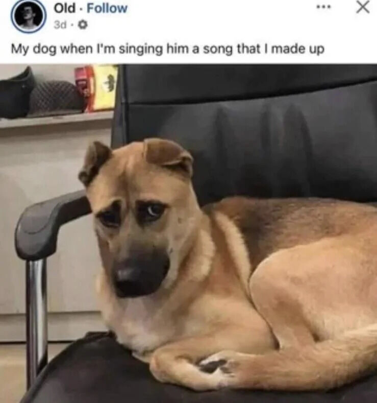 A humorous social media post featuring a dog lying on a black chair with a noticeably sad, concerned, or unimpressed expression. The post text above the dog reads: 'My dog when I'm singing him a song that I made up,' creating a relatable and funny scenario where the dog's reaction humorously conveys reluctance or discomfort with the owner's original musical performance. The dog, a light brown mixed breed, is curled up on the chair, with its ears slightly drooped and eyes wide, enhancing the comedic effect of its apparent displeasure.