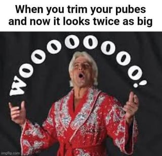 This is a single-panel reaction meme. At the top, the text reads "When you trim your pubes and now it looks twice as big". Below this setup text is an image of legendary professional wrestler Ric Flair, wearing his iconic ornate red embroidered robe, with his mouth open shouting and both arms outstretched in a celebratory pose. Curving around his head is his famous catchphrase "WOOOOOO!", styled to look like it is being yelled out by him. The joke plays on the common relatable experience that trimming long pubic hair makes the underlying genitals appear larger, using Flair's famously over-the-top enthusiastic persona to exaggerate the feeling of excitement and satisfaction at this outcome.