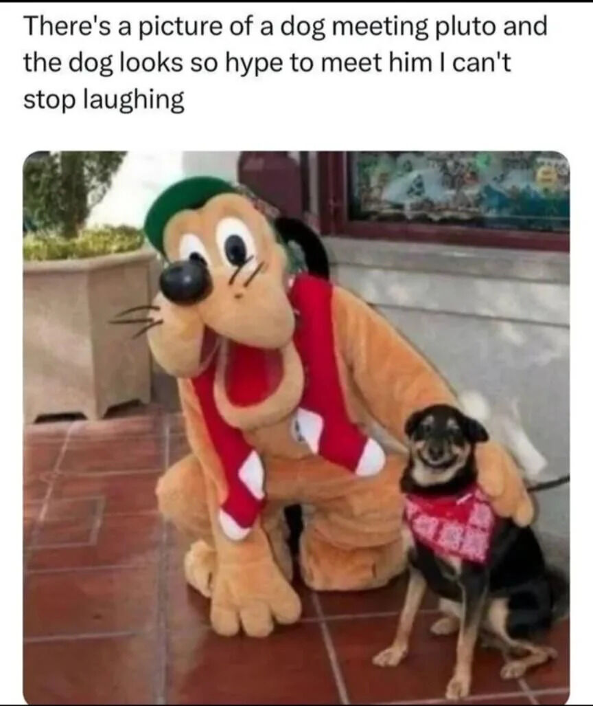 The meme consists of a top comment and a photograph. The comment reads: 'There's a picture of a dog meeting pluto and the dog looks so hype to meet him I can't stop laughing'. Below the comment is a color photograph showing a Pluto mascot (from Disney) kneeling on a tiled outdoor surface. The Pluto mascot has brown fur, a green hat, and a red scarf with white patterns, and is smiling widely with large, round eyes. Next to the mascot sits a real dog with a black and tan coat, wearing a red bandana with white patterns. The dog appears happy, with a relaxed posture and a slight smile. In the background, there is a potted plant and a window displaying colorful decorations.