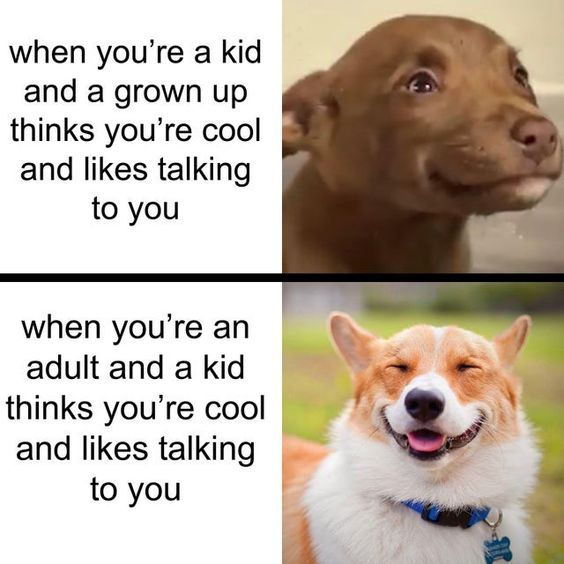 This is a two-panel relatable wholesome meme that uses two real dog photos to contrast the feelings of being a kid approved by an adult versus being an adult approved by a kid. The top panel has text describing the experience of being a kid that a grown up thinks is cool and likes talking to, paired with an image of a nervous, wide-eyed brown dog that looks flattered and slightly shy about the attention. The bottom panel has text describing the experience of being an adult that a kid thinks is cool and likes talking to, paired with an image of a happy, grinning corgi that looks warm, proud and content with the interaction. The meme highlights the heartwarming, satisfying good feeling that comes from being liked and seen as cool by a child when you are grown up.
