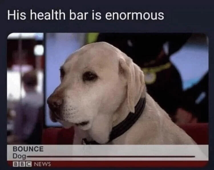A meme featuring a white Labrador dog appearing in a BBC News segment. The dog, named Bounce according to the lower third graphic ('BOUNCE Dog') with 'BBC NEWS' branding, is shown in a calm, serious pose facing left. Overlaid at the top of the image is the text 'His health bar is enormous,' a playful reference to video game terminology where a 'health bar' represents vitality, humorously implying the dog is exceptionally resilient or healthy. The background is blurred, focusing on the dog's composed expression.