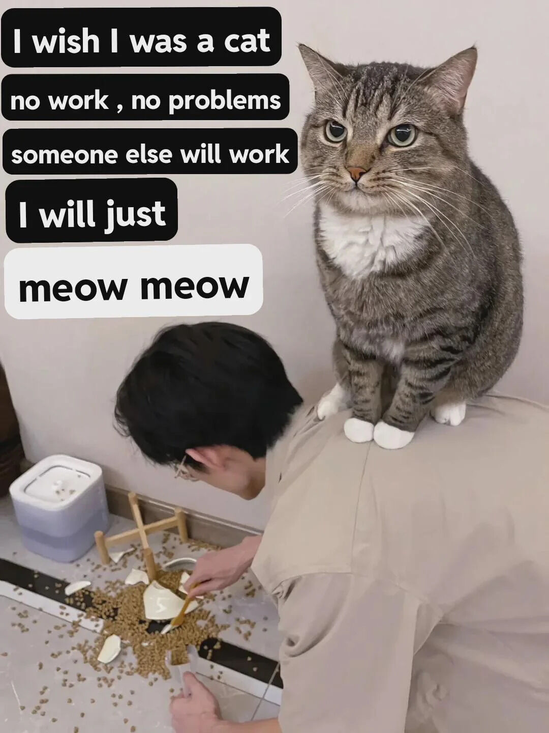 A humorous meme featuring a photograph of a tabby cat with white paws sitting on a person's shoulders. The person, viewed from behind, is cleaning up spilled cat food from the floor while the cat looks on calmly. Overlaid text expresses the relatable desire to live like a cat: 'I wish I was a cat', 'no work, no problems', 'someone else will work', and 'I will just meow meow'. The image humorously contrasts the cat's carefree existence with the human's responsibility of cleaning up after the pet.