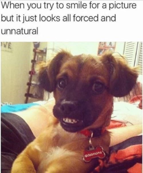 This meme combines a photograph of a small mixed-breed dog with an awkward, forced-looking 'smile'—its teeth are bared in an unconvincing, human-like way—with a top text caption that reads: *When you try to smile for a picture but it just looks all forced and unnatural*. The core humor is a visual joke: the dog's expression perfectly mirrors the relatable human experience of attempting to pose for a photo and ending up with an awkward, unnatural-looking smile. The dog is resting on a person's lap, wearing a red collar with a bone-shaped tag that displays the handle '@dabmoms'.