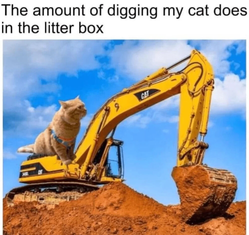 This relatable pet humor meme uses a double pun and visual exaggeration to joke about how excessively domestic cats dig in their litter boxes after using the bathroom. The image edits a large real house cat to sit on top of a full-sized yellow Caterpillar (CAT brand) excavator, which is actively digging a pile of dirt. The pun has two layers: the pet is a 'cat' which matches the excavator brand name 'CAT', and the heavy-duty large-scale digging of the excavator visually represents just how much digging the poster's cat does in its litter box.