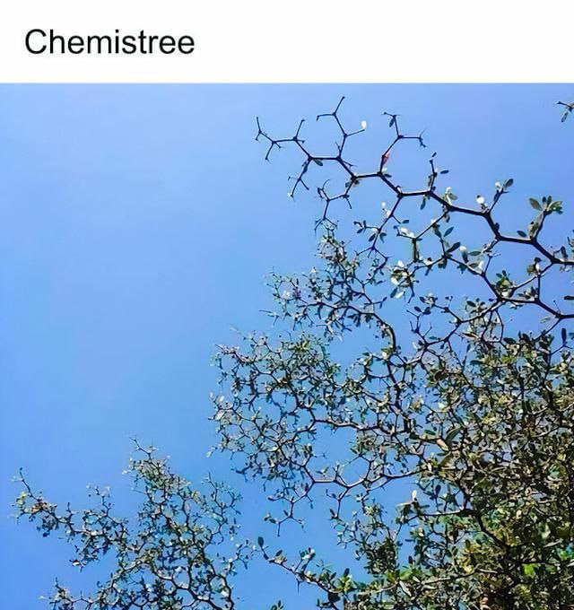 The image displays a natural tree with intricate, sprawling branches and green leaves set against a vibrant clear blue sky. At the top of the image, the word 'Chemistree' is prominently featured in bold black font, creating a pun by blending 'chemistry' (a branch of science) with 'tree' (a natural plant), likely intending to humorously connect scientific themes with nature through visual wordplay. The tree's structured branches may subtly evoke the appearance of molecular structures, enhancing the science-related pun.