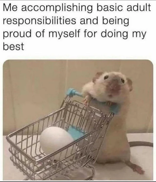 The meme features a top text section and a photograph below. The text reads: 'Me accomplishing basic adult responsibilities and being proud of myself for doing my best'. The photograph depicts a small light-colored rodent (likely a mouse or hamster) positioned upright, with its front paws gripping the handle of a miniature metal shopping cart. Inside the cart is a single white egg. The rodent has a content, proud expression as it looks upward, creating a charming visual metaphor for finding pride in everyday adult tasks.