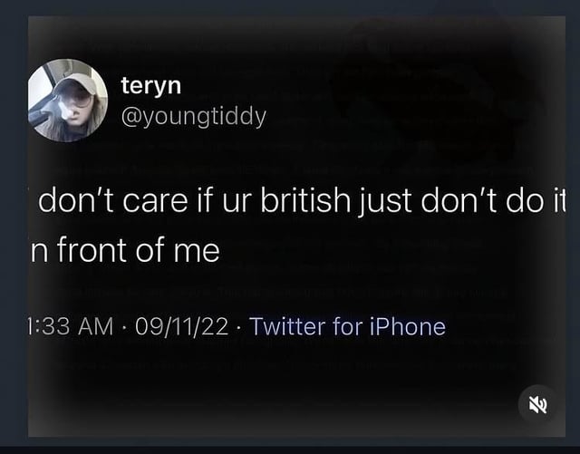 This image is a screenshot of a public Twitter (now X) post from user @youngtiddy (display name teryn). The tweet text reads "don't care if ur british just don't do it n front of me", timestamped 1:33 AM on 09/11/22, posted via Twitter for iPhone. The screenshot was shared to the Reddit r/Meme subreddit by a user who stated they received a Reddit content warning, so they posted this intentionally ambiguous meme instead of content that would violate platform rules. The unstated "it" in the tweet is left open to interpretation, comically implying the content the Reddit user originally wanted to share is the forbidden action referenced, allowing the post to avoid moderation while still being humorous.