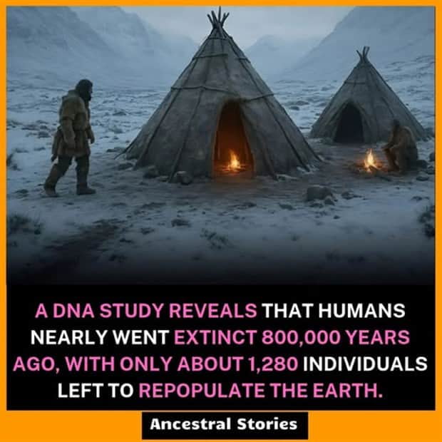 The image depicts a snowy, mountainous landscape with two cone-shaped teepees (traditional tents). One teepee has a bright fire burning inside, emitting warm light, while a smaller fire burns outside near the second teepee. Two human figures are present: one is walking towards the teepees, and the other is sitting by the smaller outdoor fire. Below the visual, a bold text overlay presents a scientific claim: 'A DNA STUDY REVEALS THAT HUMANS NEARLY WENT EXTINCT 800,000 YEARS AGO, WITH ONLY ABOUT 1,280 INDIVIDUALS LEFT TO REPOPULATE THE EARTH.' The bottom of the text section is labeled 'Ancestral Stories'.