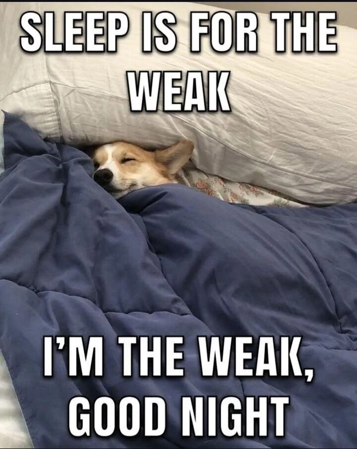 A humorous meme featuring a corgi dog peacefully sleeping under a blue blanket with its head resting near a white pillow. The top text reads 'SLEEP IS FOR THE WEAK' in bold white letters, while the bottom text states 'I'M THE WEAK, GOOD NIGHT', creating a funny contrast between the initial bold statement and the dog's cozy, sleeping demeanor, which playfully embraces being 'weak' by choosing sleep.