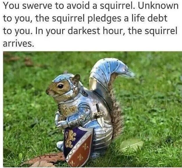 This meme consists of two parts: a block of text at the top, and an edited photo below. The text describes a whimsical scenario: when a driver swerves their car to avoid hitting a squirrel crossing the road, the squirrel secretly pledges a life debt to the driver, and appears fully prepared to help when the driver faces their hardest moment. The accompanying image shows a real squirrel edited to be wearing ornate medieval knight plate armor, complete with a helmet, a tiny sheathed sword attached to its side, and a decorated heraldic shield held in its paws, standing upright on a patch of green grass. The joke leans into the wholesome, absurd fantasy of a small, normally harmless woodland creature becoming a loyal, heroic protector to repay a small act of kindness.