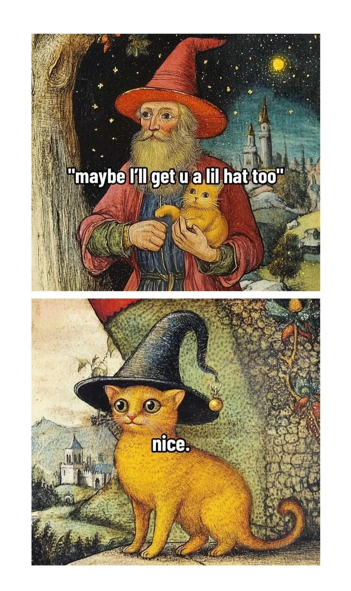 A two-panel wholesome meme. The top panel features a classical-style illustration of an elderly wizard with a long white beard, wearing a red pointed hat and red robe, holding a small yellow cat. The wizard says, 'maybe I'll get u a lil hat too.' The bottom panel shows the same yellow cat now standing independently, wearing a small black wizard hat with a pom-pom, looking content. The cat's response is 'nice.' The background in both panels includes a medieval-style castle and a scenic landscape, maintaining a whimsical, fantasy aesthetic.
