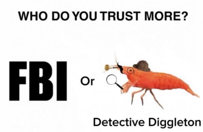 This humorous single-panel meme presents a comedic rhetorical question at the top: "WHO DO YOU TRUST MORE?". It displays two options for comparison: on the left, the acronym for the well-known United States federal law enforcement agency "FBI" in large bold text, and on the right, an absurd cartoon character named "Detective Diggleton" -- an orange shrimp dressed in tiny detective accessories including a small hat, fake mustache, pipe, and magnifying glass. The joke hinges on the absurd, counter-intuitive humor of implying that a ridiculous fictional shrimp detective might be more trustworthy than an official government investigative agency, a common sentiment in irreverent internet humor that mocks authoritative institutions by contrasting them with silly, endearing fictional characters.